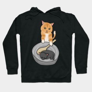 Kitty cooking (fluffy orange cat, black kitten) Hoodie